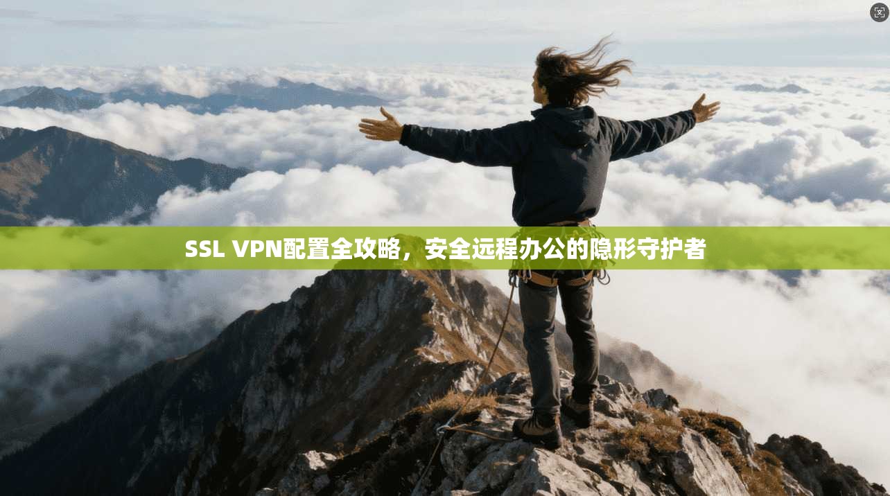 SSL VPN配置全攻略,安全远程办公的隐形守护者