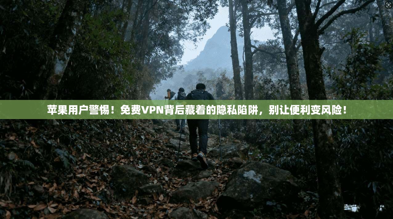 苹果用户警惕！免费VPN背后藏着的隐私陷阱，别让便利变风险！