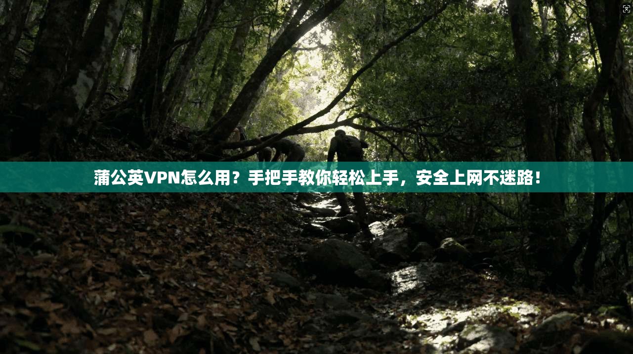 蒲公英VPN怎么用？手把手教你轻松上手，安全上网不迷路！