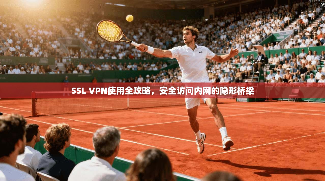 SSL VPN使用全攻略，安全访问内网的隐形桥梁