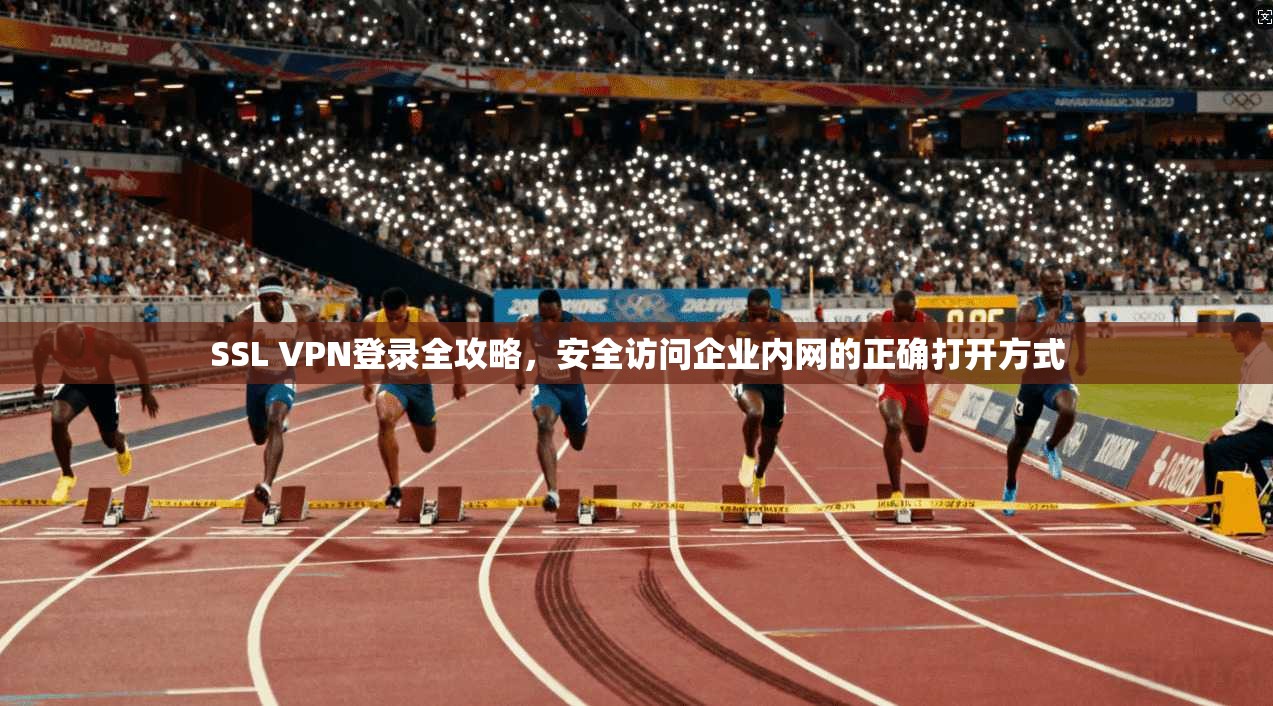 SSL VPN登录全攻略，安全访问企业内网的正确打开方式