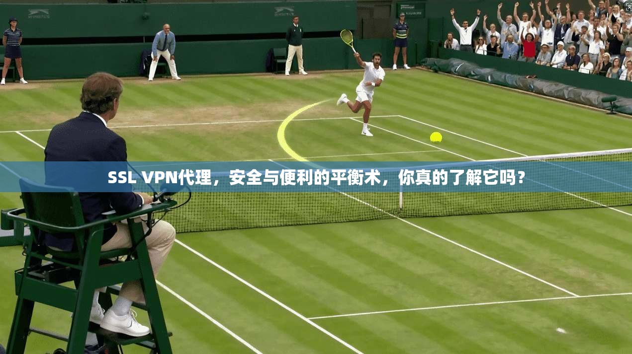 SSL VPN代理，安全与便利的平衡术，你真的了解它吗？