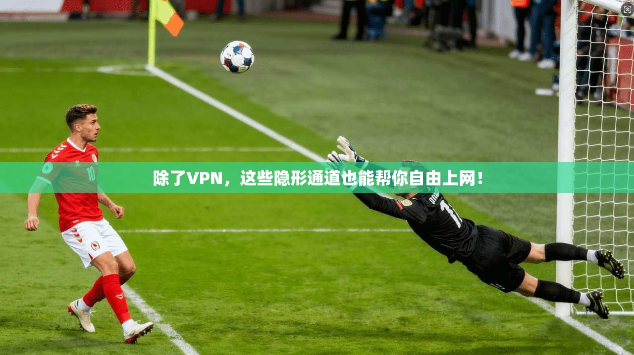除了VPN，这些隐形通道也能帮你自由上网！