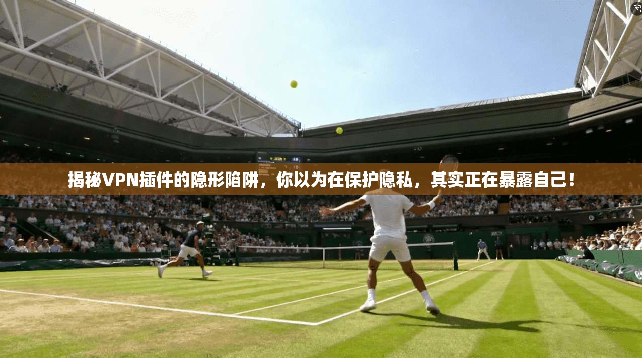 揭秘VPN插件的隐形陷阱，你以为在保护隐私，其实正在暴露自己！