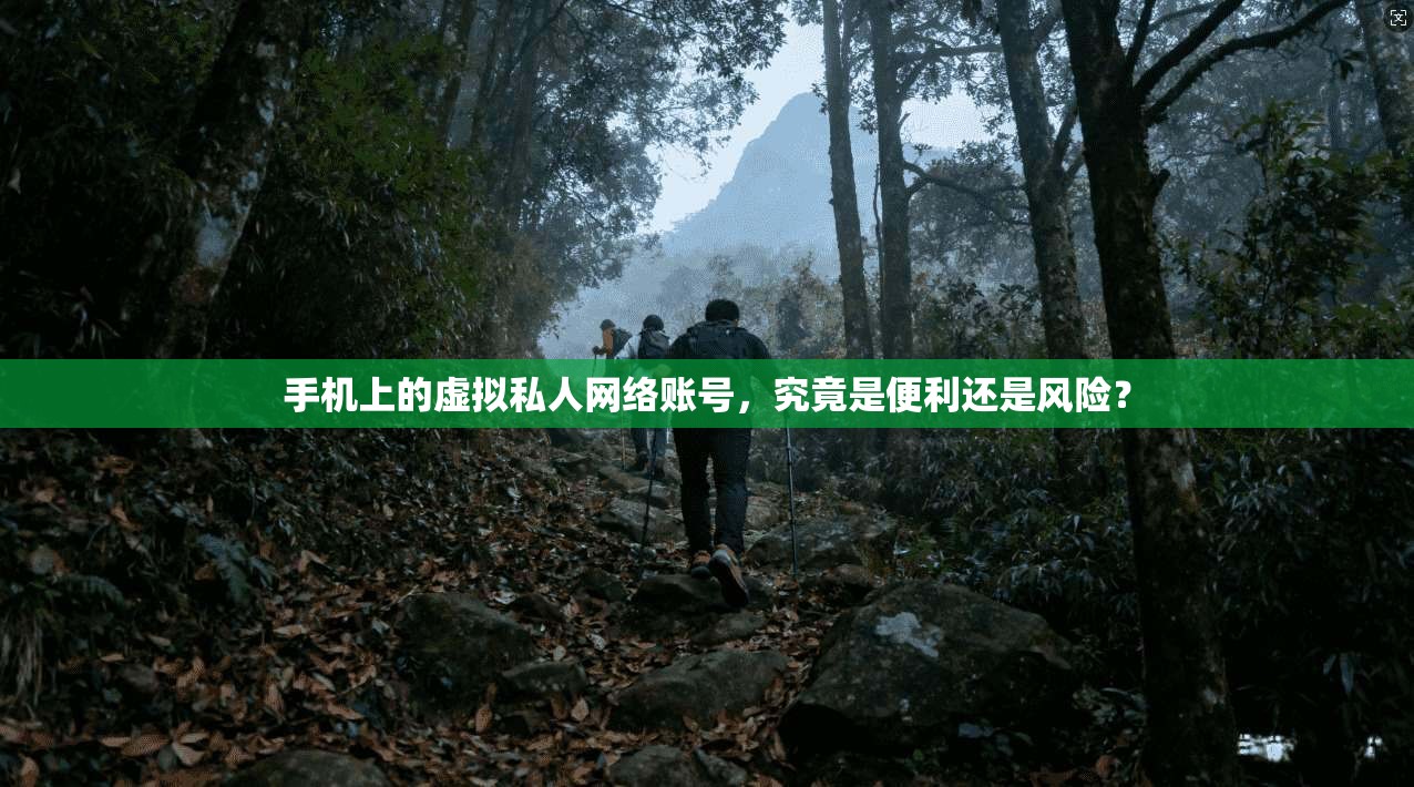 手机上的虚拟私人网络账号，究竟是便利还是风险？