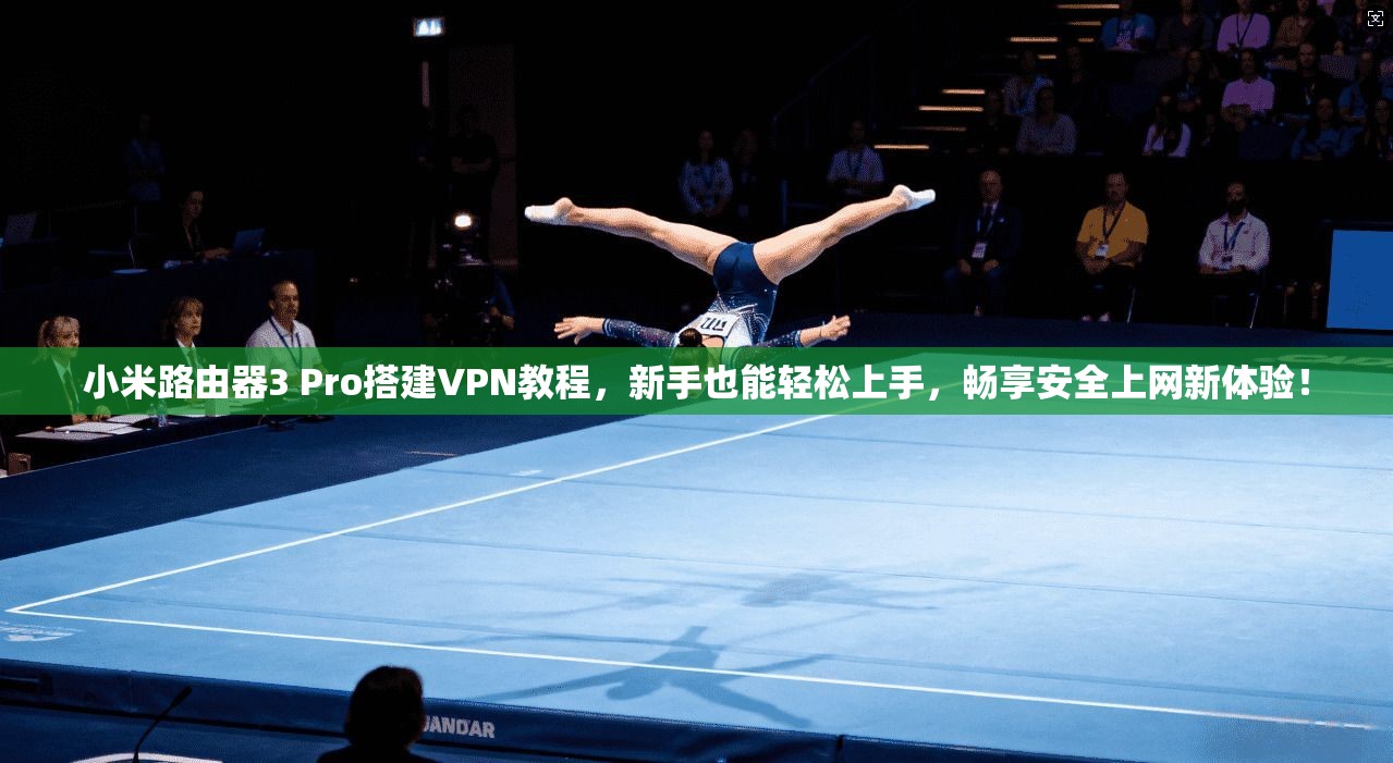 小米路由器3 Pro搭建VPN教程，新手也能轻松上手，畅享安全上网新体验！