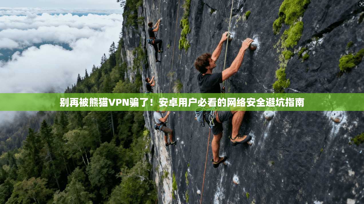 别再被熊猫VPN骗了！安卓用户必看的网络安全避坑指南