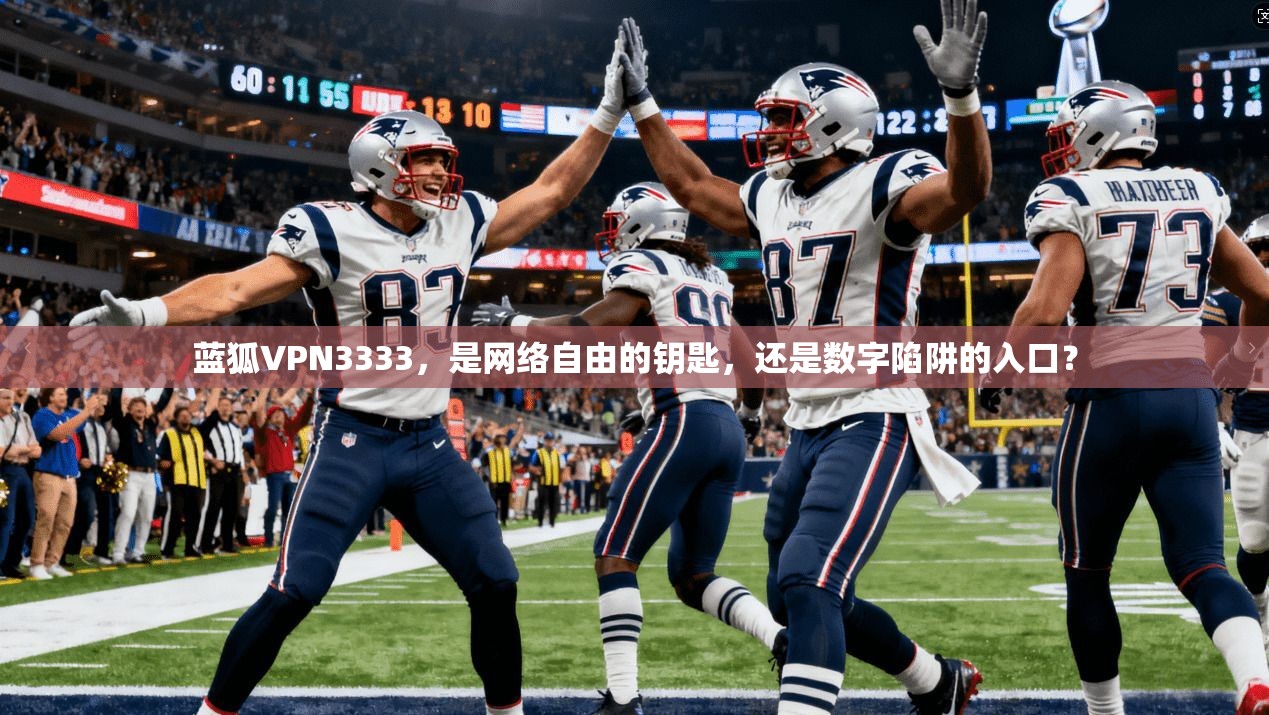 蓝狐VPN3333，是网络自由的钥匙，还是数字陷阱的入口？