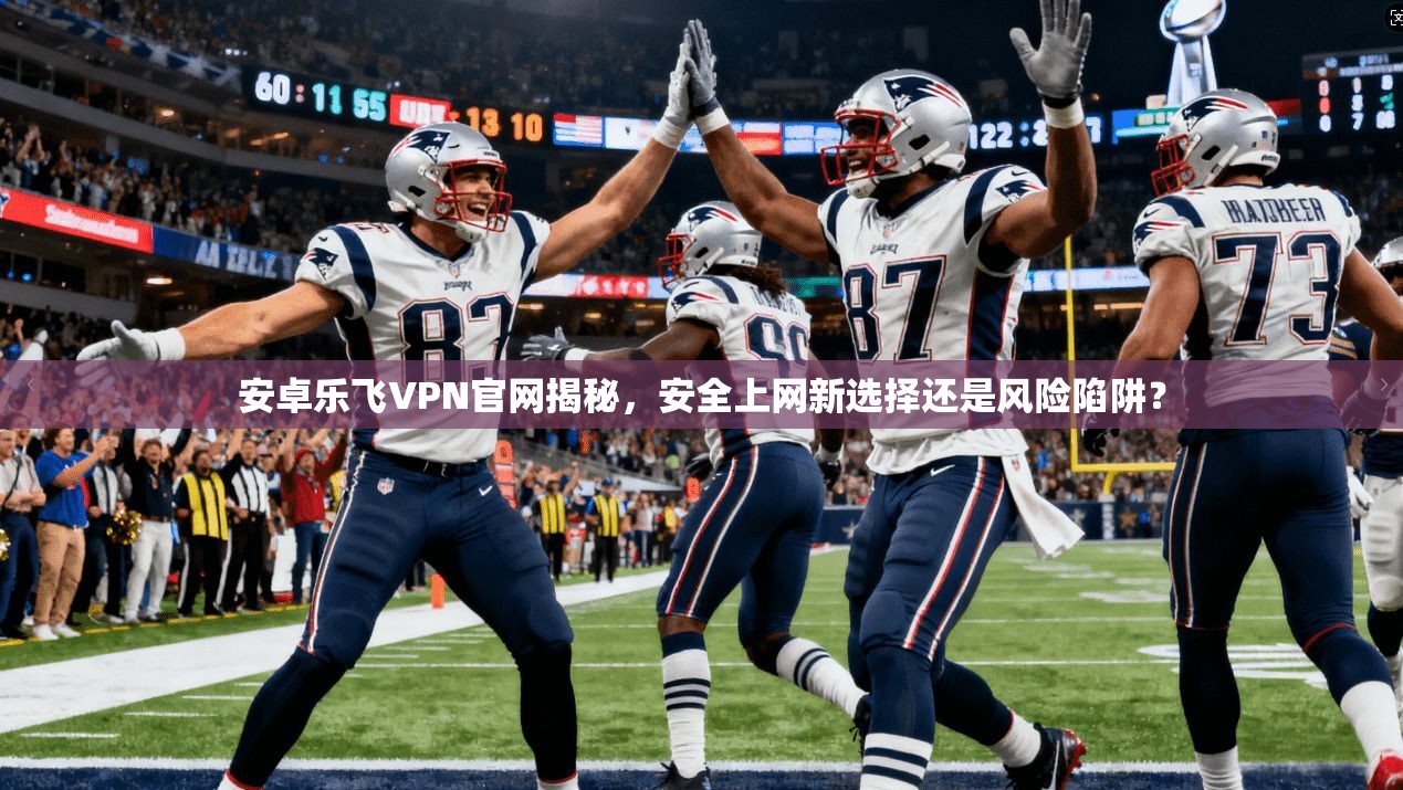 安卓乐飞VPN官网揭秘，安全上网新选择还是风险陷阱？