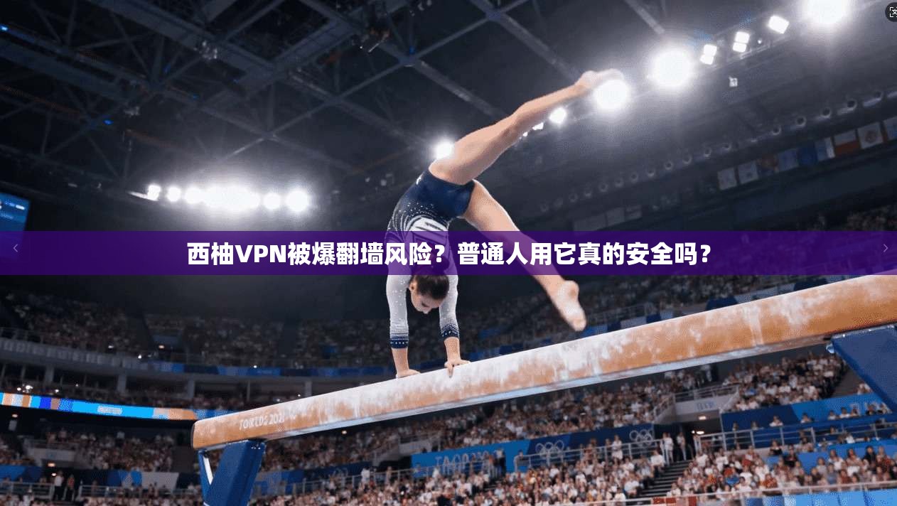 西柚VPN被爆翻墙风险？普通人用它真的安全吗？