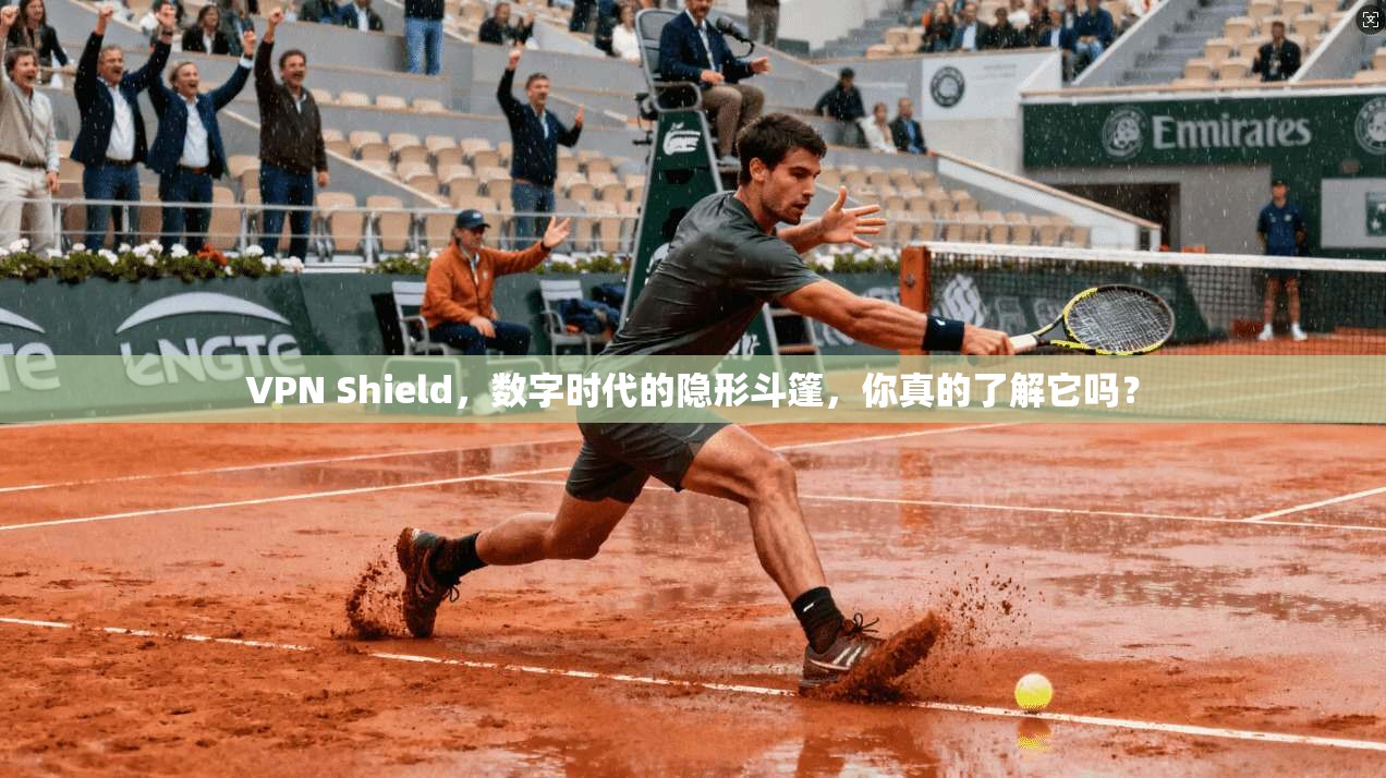 VPN Shield，数字时代的隐形斗篷，你真的了解它吗？