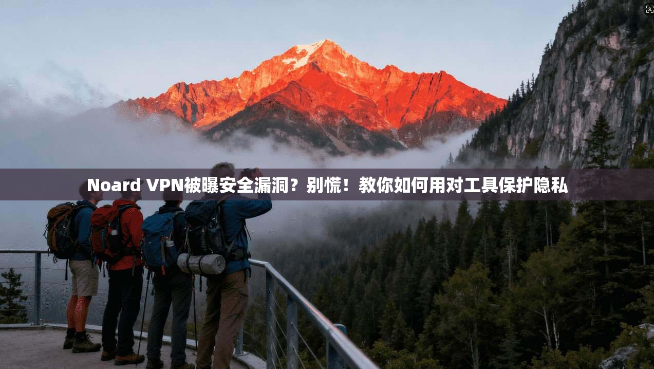 Noard VPN被曝安全漏洞？别慌！教你如何用对工具保护隐私