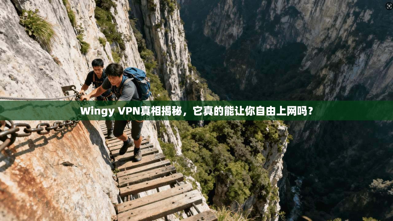 Wingy VPN真相揭秘，它真的能让你自由上网吗？