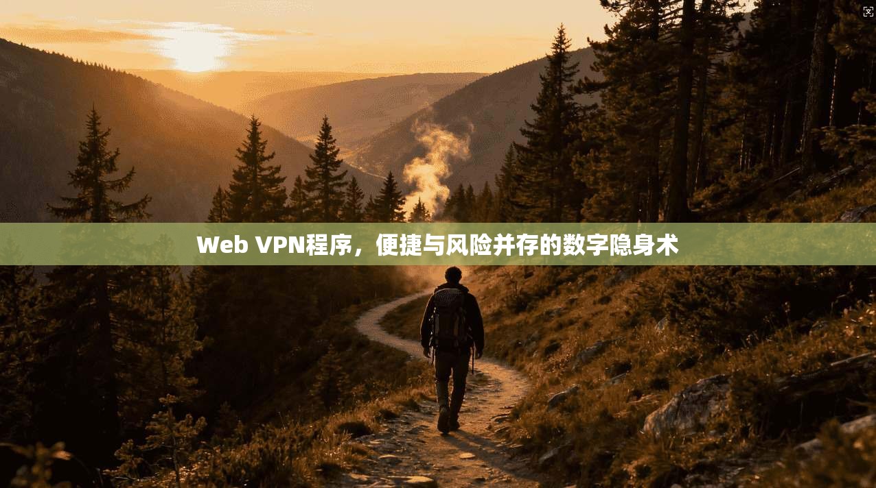 Web VPN程序，便捷与风险并存的数字隐身术