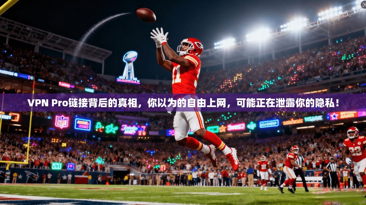 VPN Pro链接背后的真相，你以为的自由上网，可能正在泄露你的隐私！