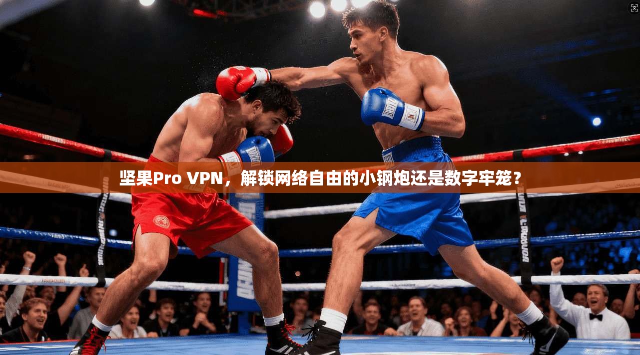 坚果Pro VPN，解锁网络自由的小钢炮还是数字牢笼？