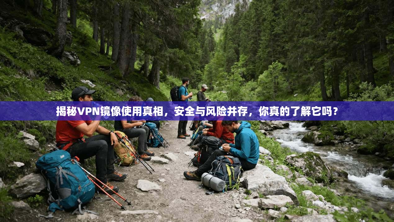 揭秘VPN镜像使用真相，安全与风险并存，你真的了解它吗？