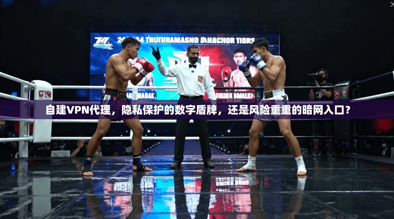自建VPN代理，隐私保护的数字盾牌，还是风险重重的暗网入口？