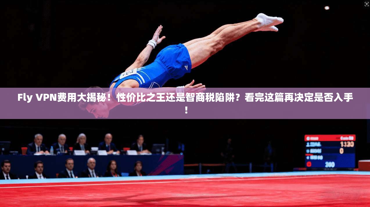 Fly VPN费用大揭秘！性价比之王还是智商税陷阱？看完这篇再决定是否入手！
