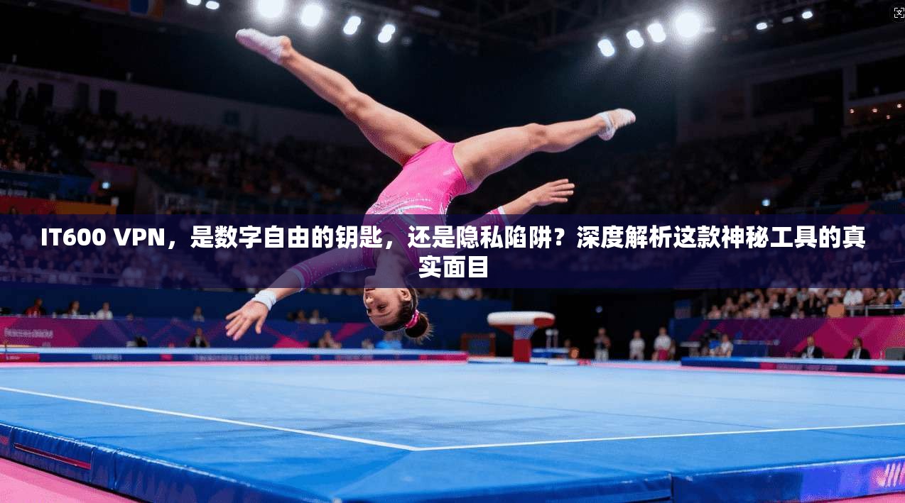 IT600 VPN，是数字自由的钥匙，还是隐私陷阱？深度解析这款神秘工具的真实面目