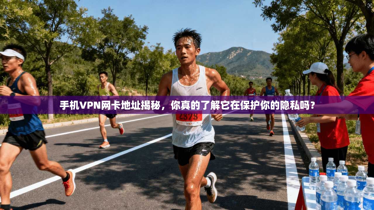 手机VPN网卡地址揭秘，你真的了解它在保护你的隐私吗？