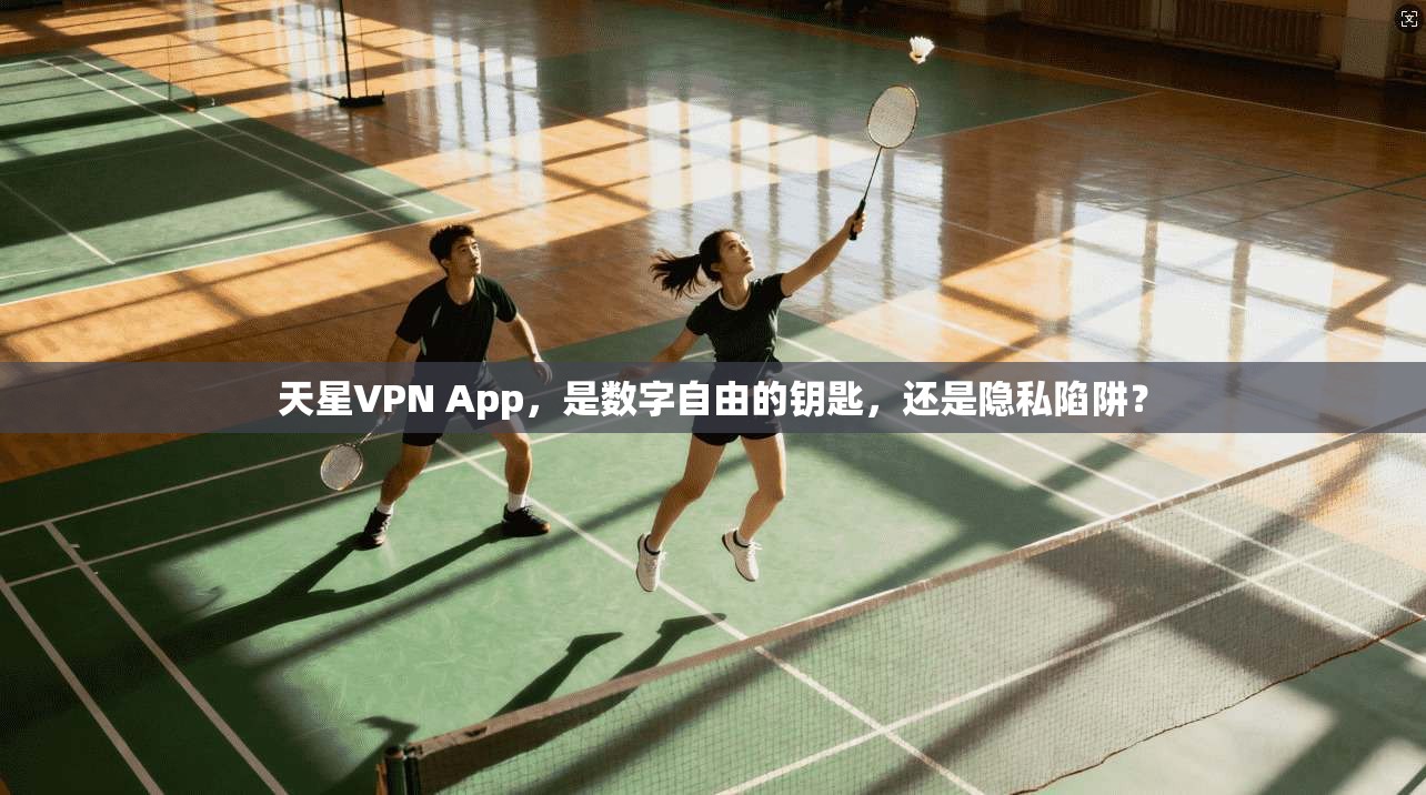 天星VPN App，是数字自由的钥匙，还是隐私陷阱？