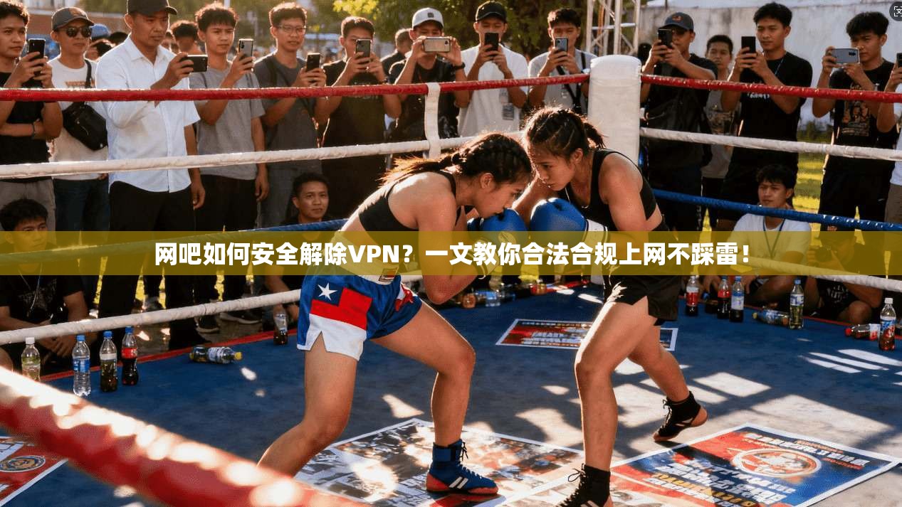 网吧如何安全解除VPN？一文教你合法合规上网不踩雷！