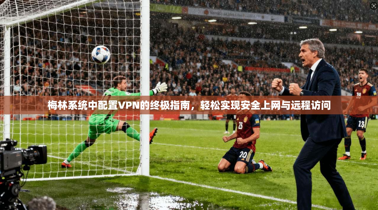 梅林系统中配置VPN的终极指南，轻松实现安全上网与远程访问