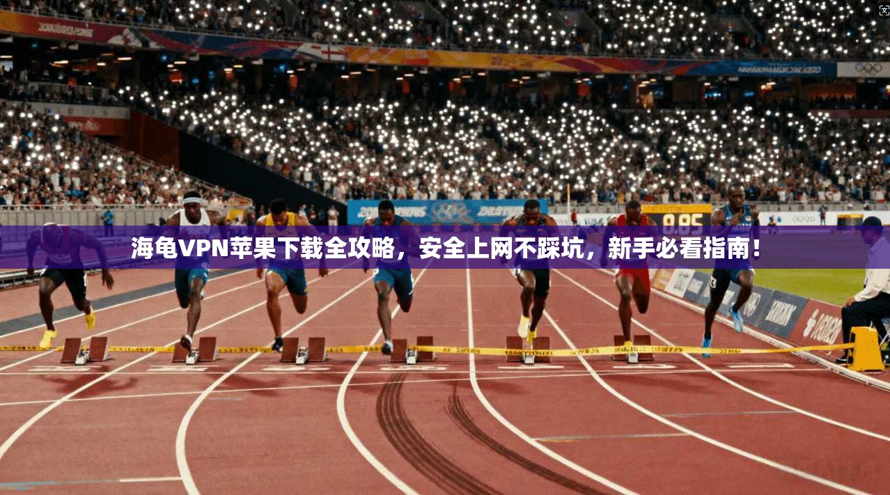 海龟VPN苹果下载全攻略，安全上网不踩坑，新手必看指南！