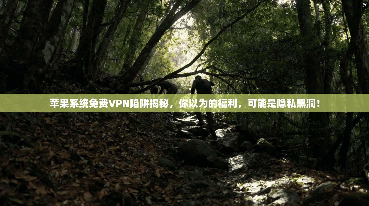 苹果系统免费VPN陷阱揭秘，你以为的福利，可能是隐私黑洞！