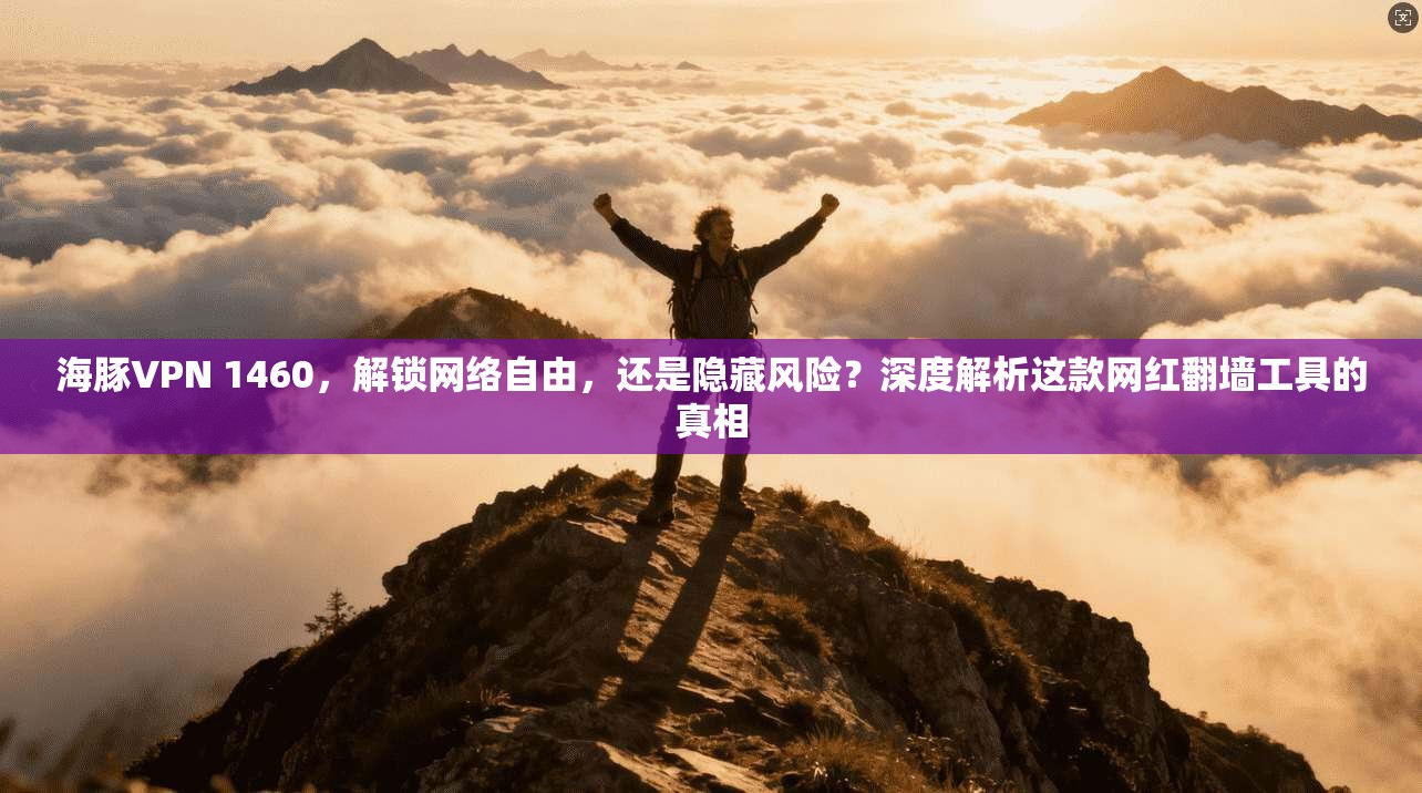 海豚VPN 1460，解锁网络自由，还是隐藏风险？深度解析这款网红翻墙工具的真相