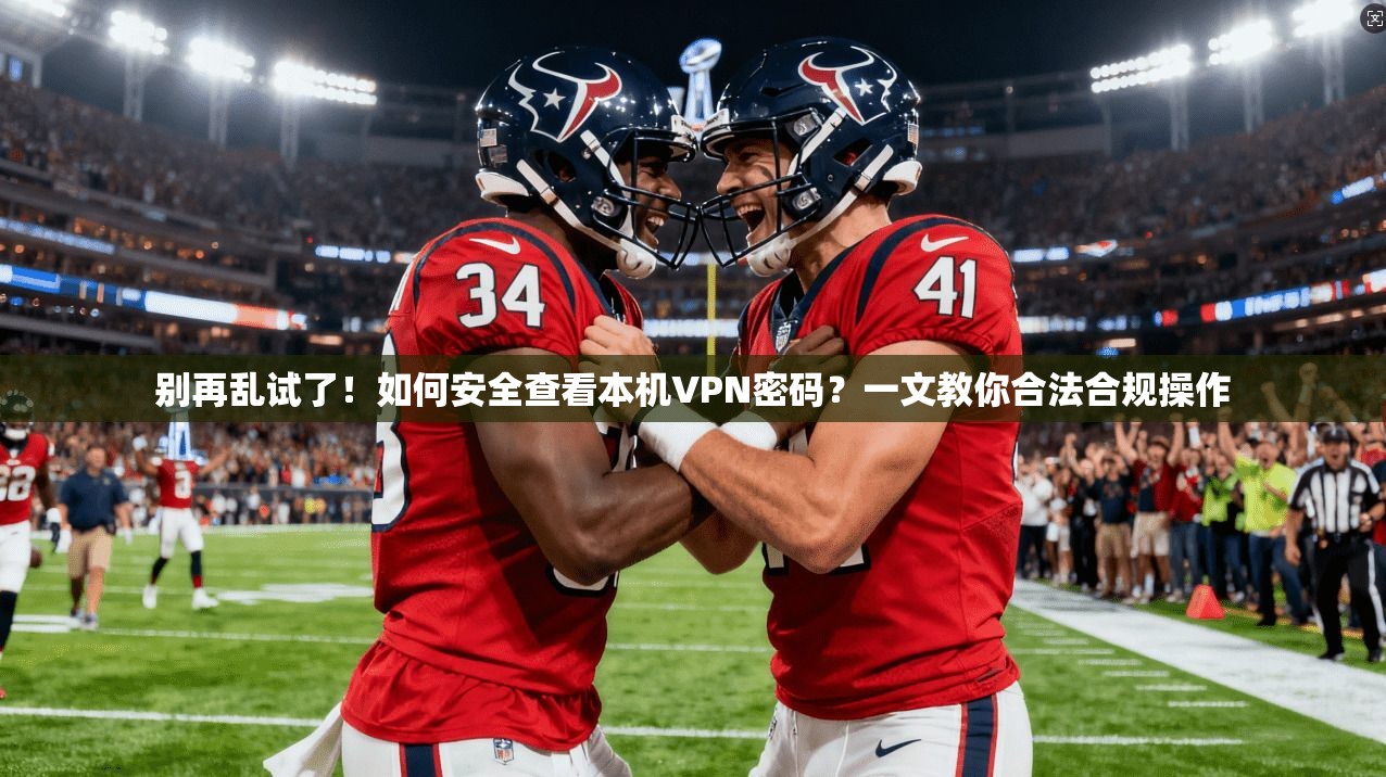 别再乱试了！如何安全查看本机VPN密码？一文教你合法合规操作
