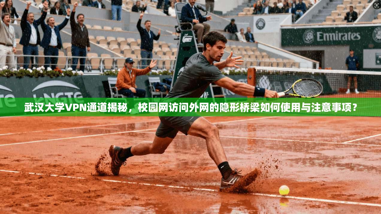 武汉大学VPN通道揭秘，校园网访问外网的隐形桥梁如何使用与注意事项？