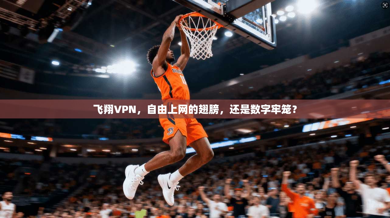飞翔VPN，自由上网的翅膀，还是数字牢笼？