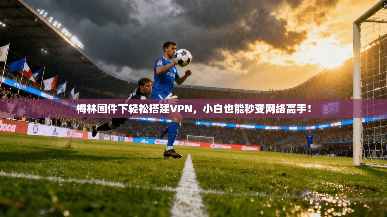 梅林固件下轻松搭建VPN，小白也能秒变网络高手！