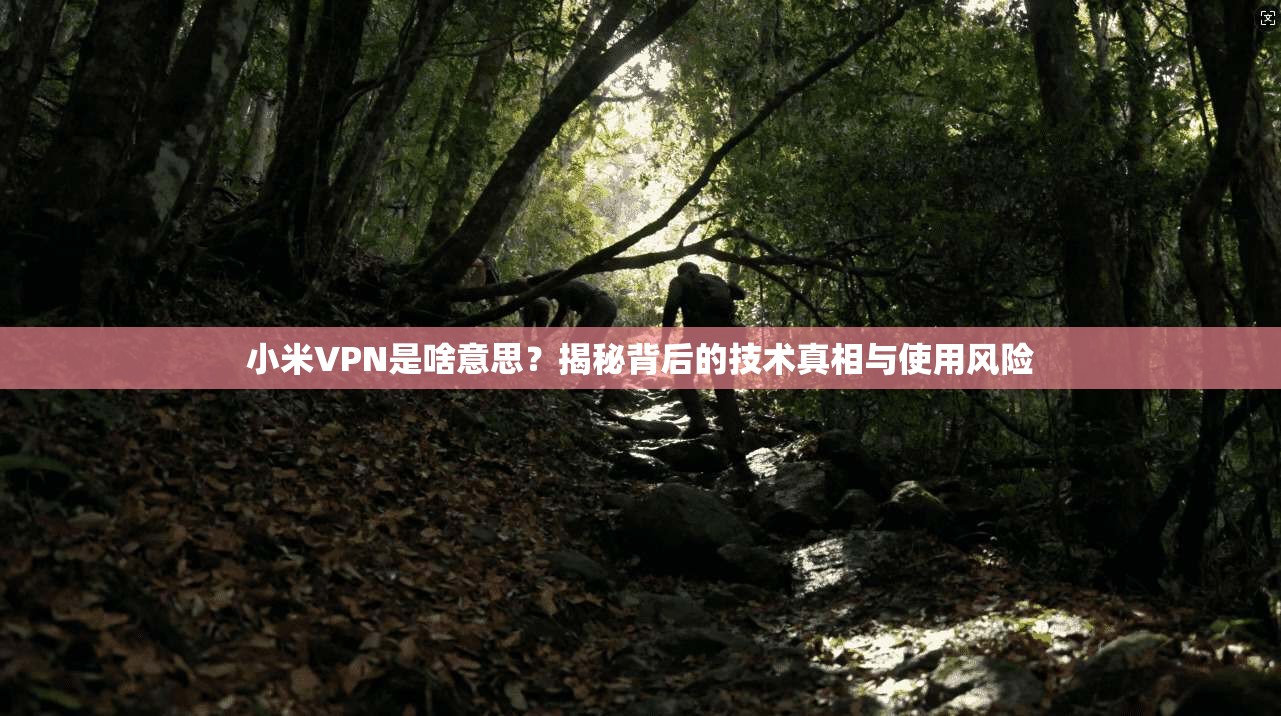 小米VPN是啥意思？揭秘背后的技术真相与使用风险