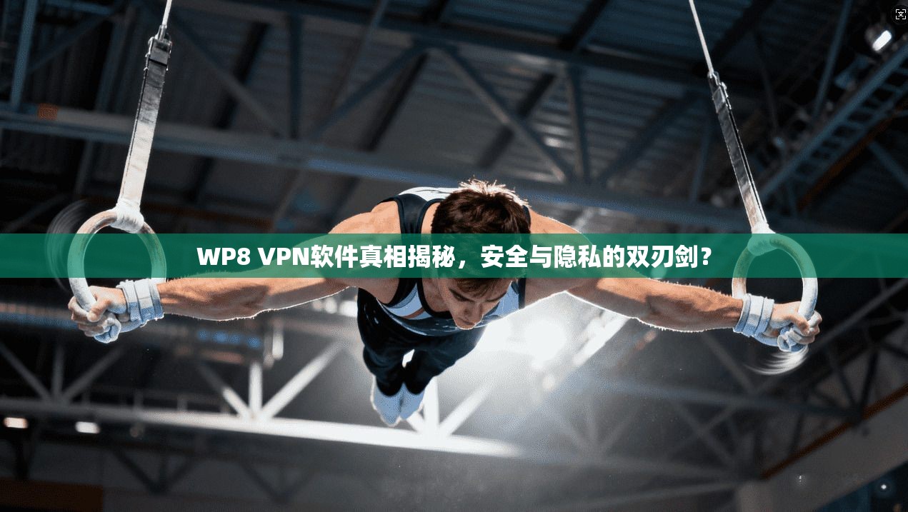 WP8 VPN软件真相揭秘，安全与隐私的双刃剑？