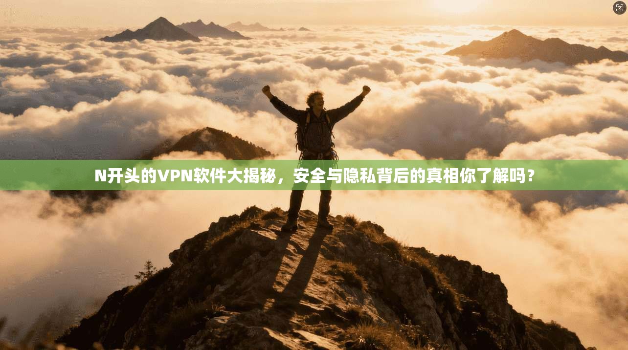 N开头的VPN软件大揭秘，安全与隐私背后的真相你了解吗？