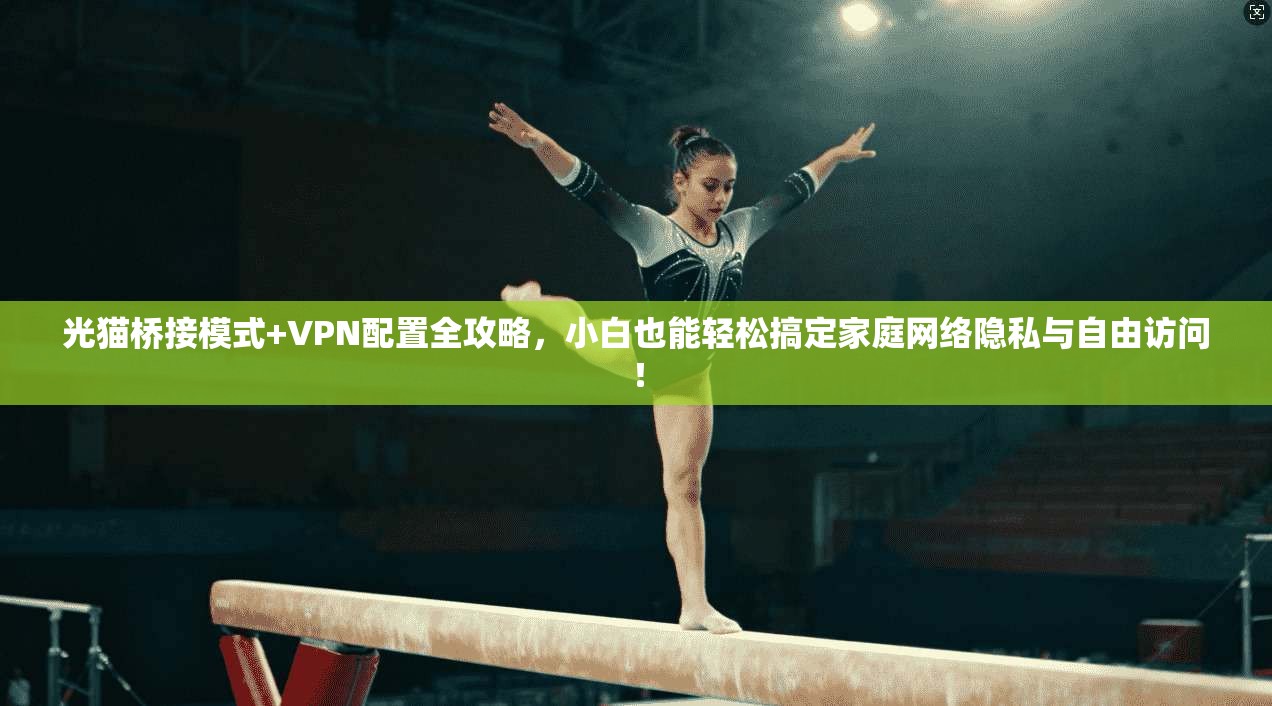 光猫桥接模式+VPN配置全攻略，小白也能轻松搞定家庭网络隐私与自由访问！