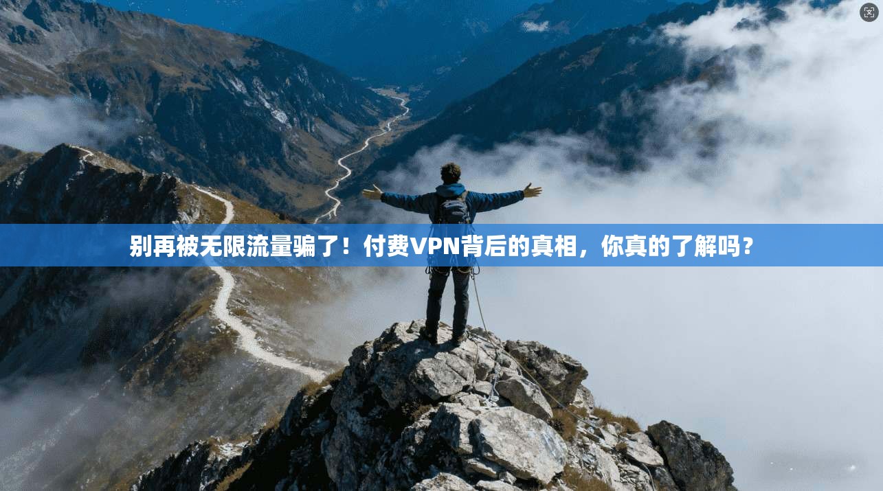 别再被无限流量骗了！付费VPN背后的真相，你真的了解吗？