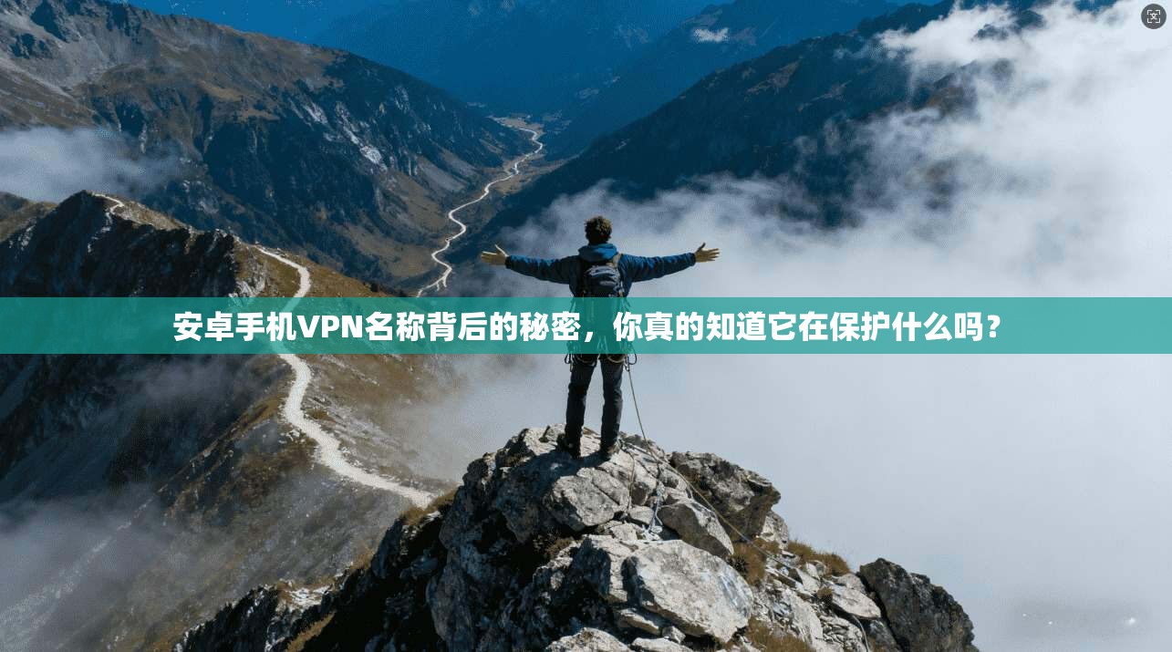 安卓手机VPN名称背后的秘密，你真的知道它在保护什么吗？