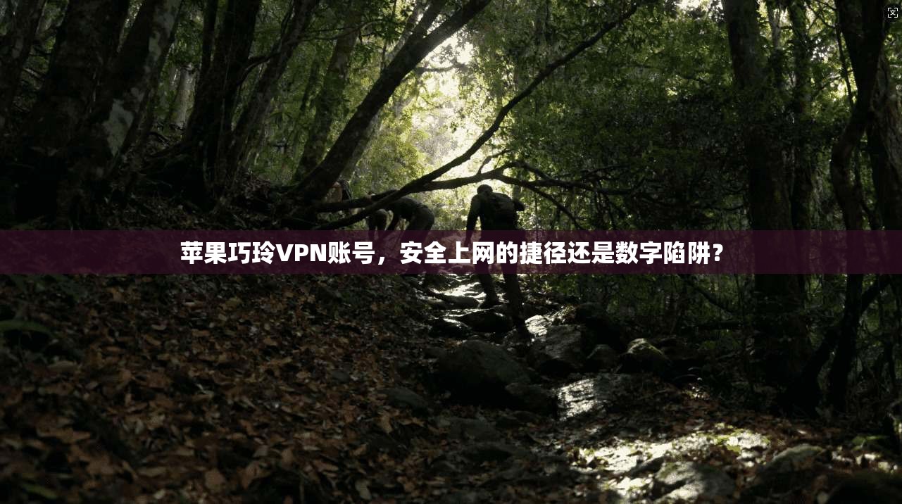 苹果巧玲VPN账号，安全上网的捷径还是数字陷阱？