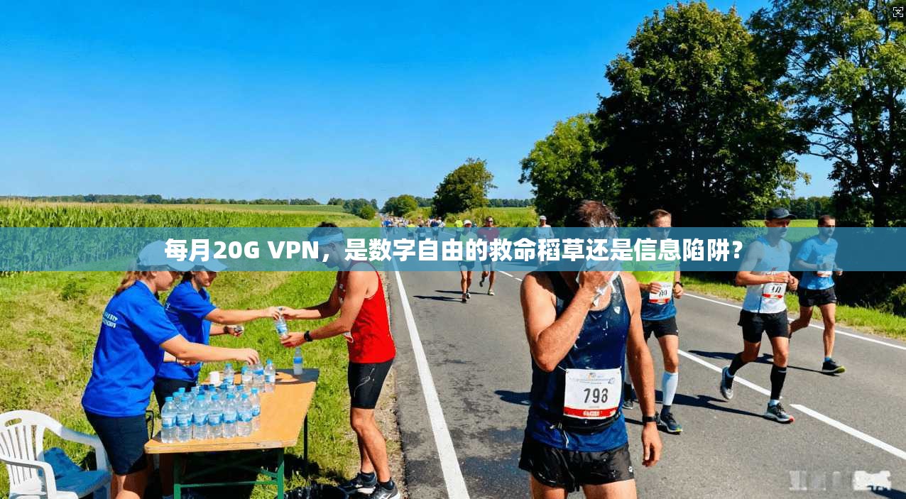 每月20G VPN，是数字自由的救命稻草还是信息陷阱？