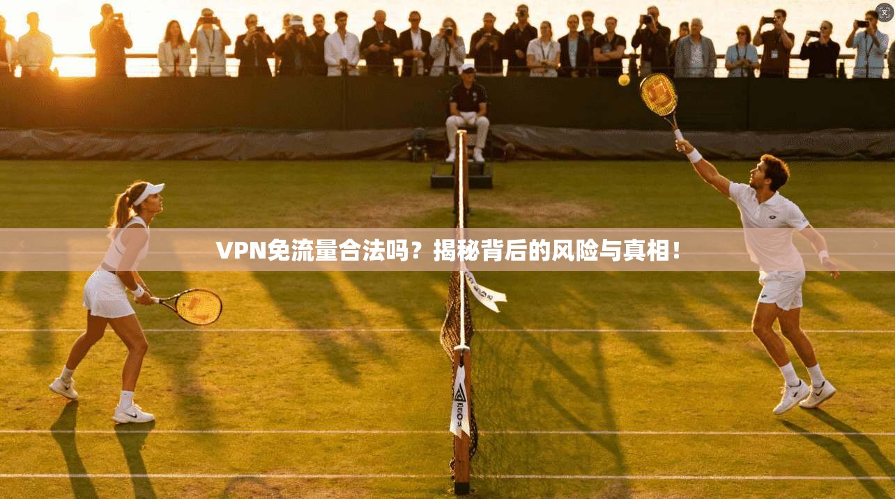 VPN免流量合法吗？揭秘背后的风险与真相！