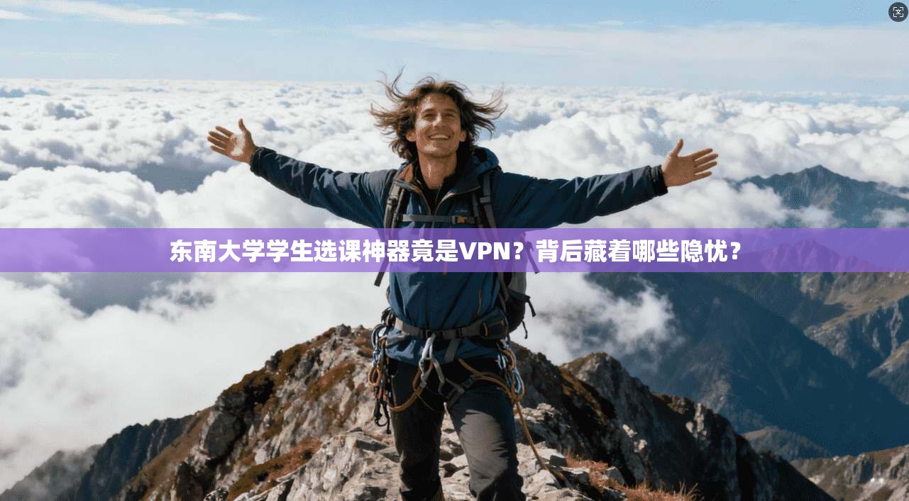 东南大学学生选课神器竟是VPN？背后藏着哪些隐忧？