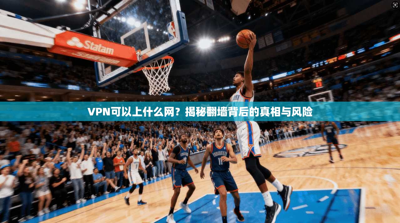 VPN可以上什么网？揭秘翻墙背后的真相与风险
