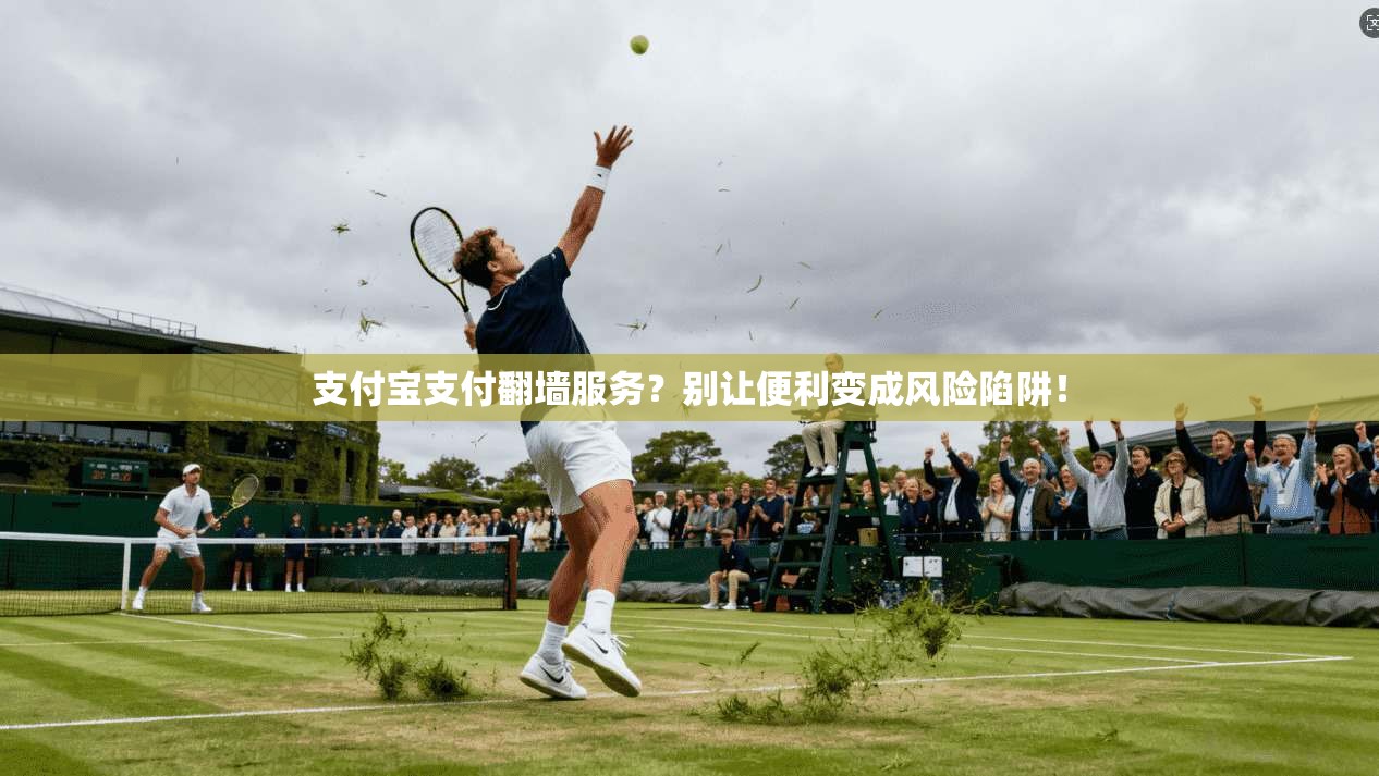 支付宝支付翻墙服务？别让便利变成风险陷阱！