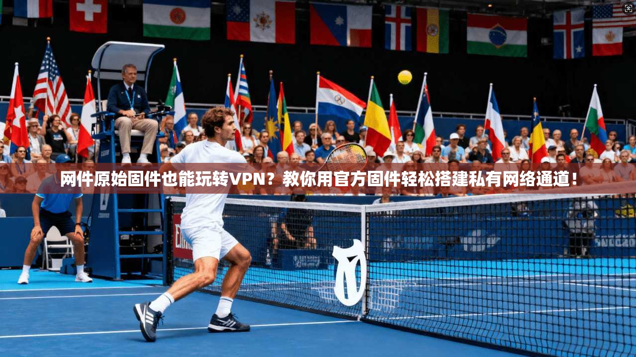 网件原始固件也能玩转VPN？教你用官方固件轻松搭建私有网络通道！