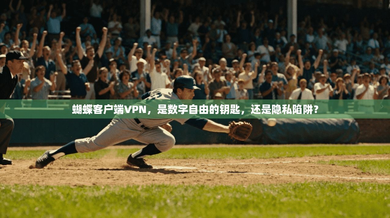 蝴蝶客户端VPN，是数字自由的钥匙，还是隐私陷阱？