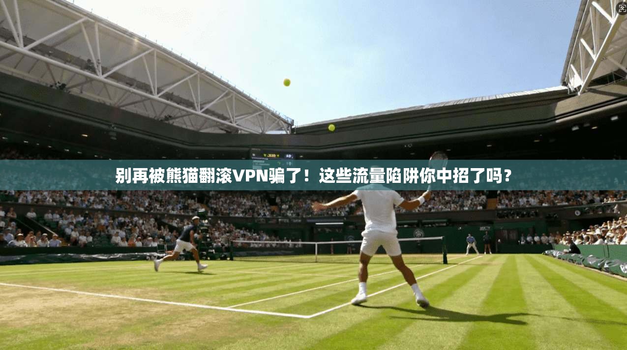 别再被熊猫翻滚VPN骗了！这些流量陷阱你中招了吗？